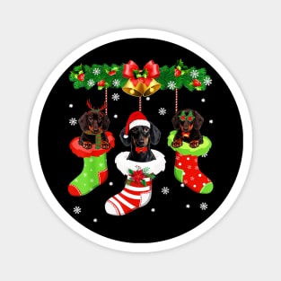 Funny Dachshund In The Stocking s Merry Christmas Magnet